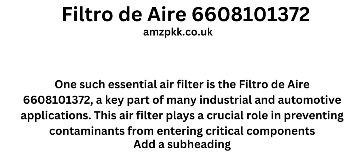 Filtro de Aire 6608101372